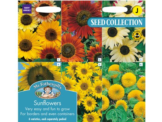 Sunflowers Collection Seeds