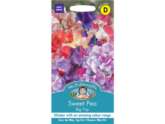 Sweet Pea 'Big Top' Seeds