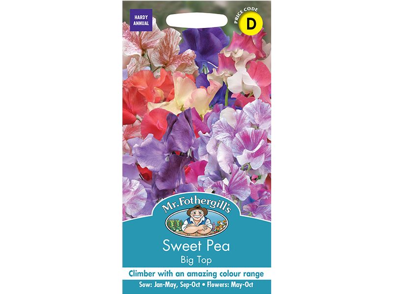 Sweet Pea 'Big Top' Seeds