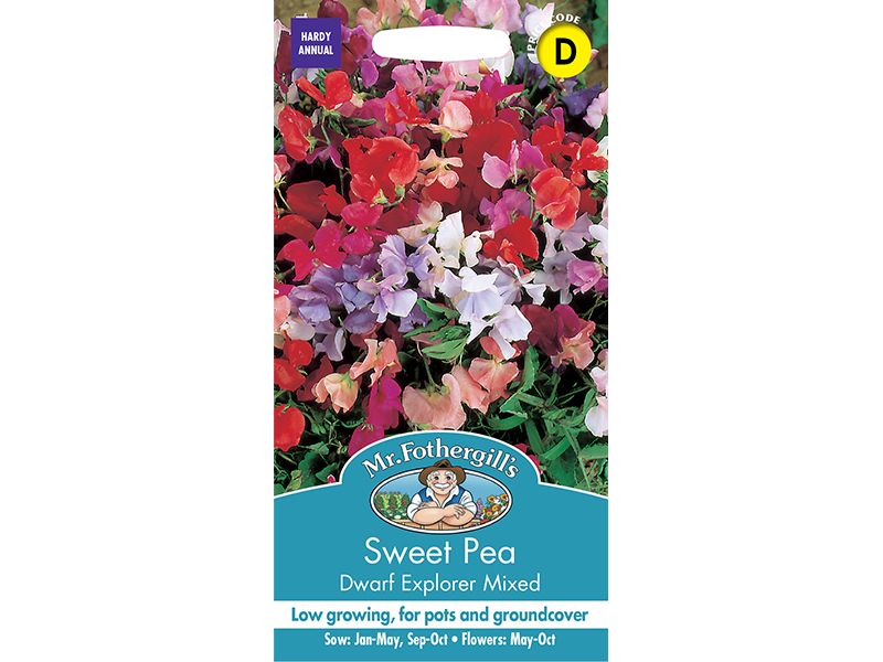 Sweet Pea 'Dwarf Explorer Mixed' Seeds