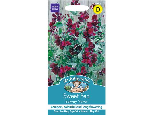 Sweet Pea 'Solway Velvet' Seeds