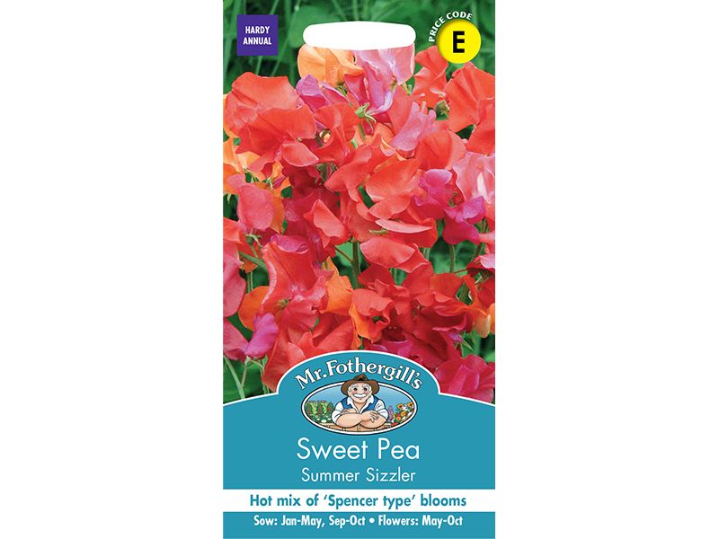 Sweet Pea 'Summer Sizzler' Seeds