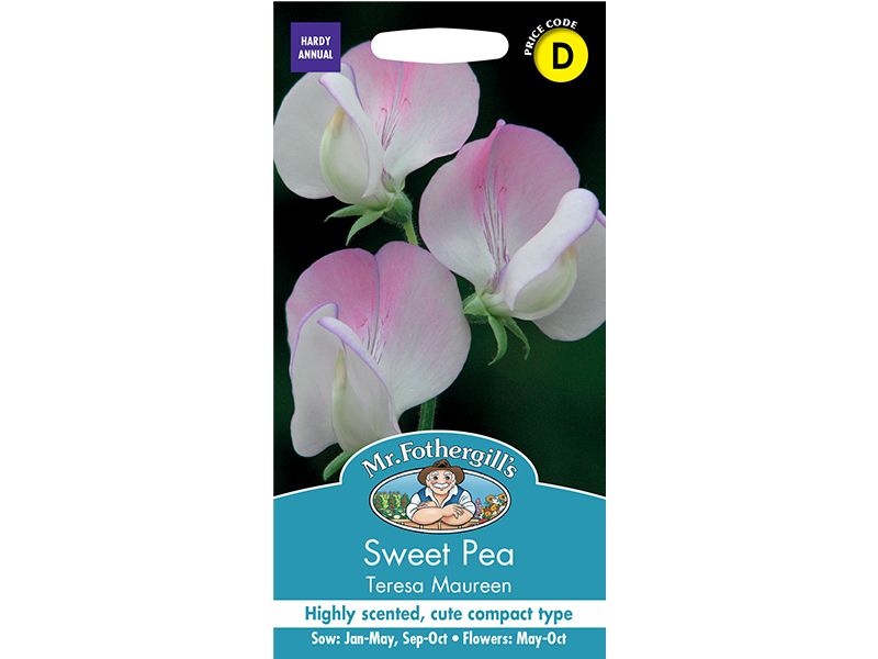 Sweet Pea 'Teresa Maureen' Seeds