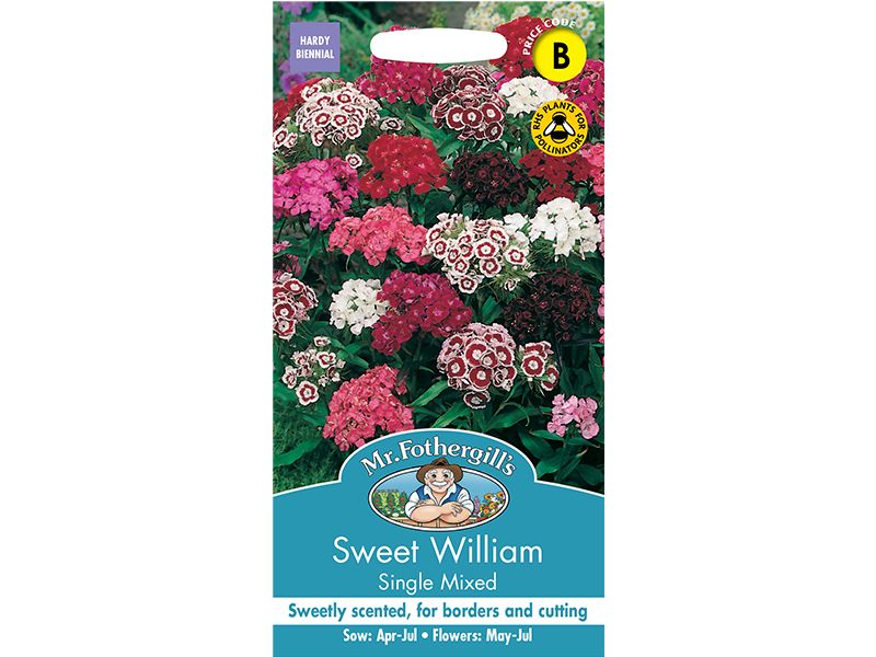 Sweet William 'Single Mixed' Seeds