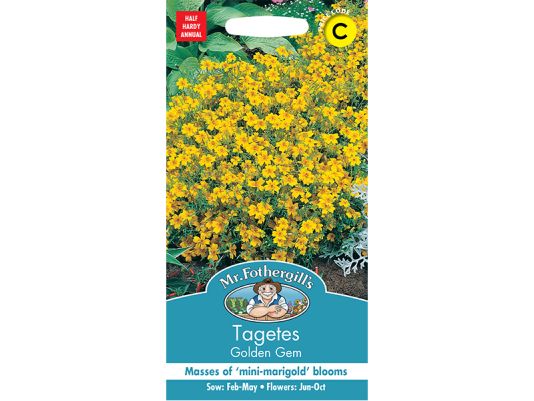 Tagetes 'Golden Gem' Seeds