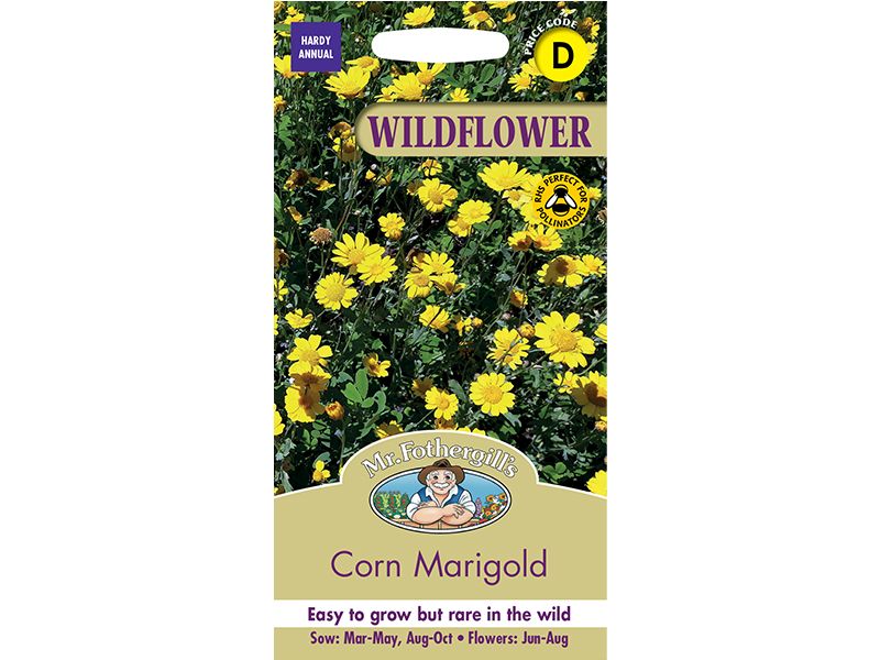 Corn Marigold Seeds