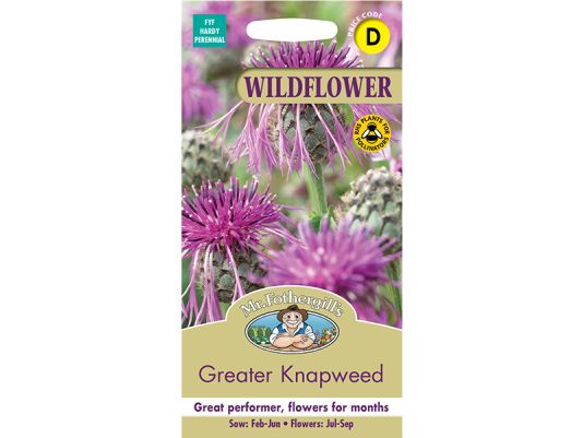 Greater Knapweed Seeds