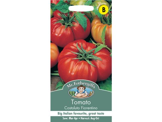 Tomato 'Costoluto Fiorentino' Seeds