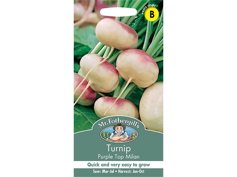 Turnip 'Purple Top Milan' Seeds