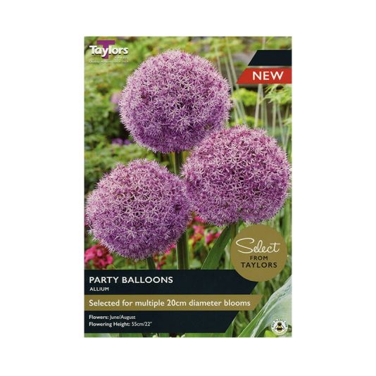 Allium 'Party Balloons'