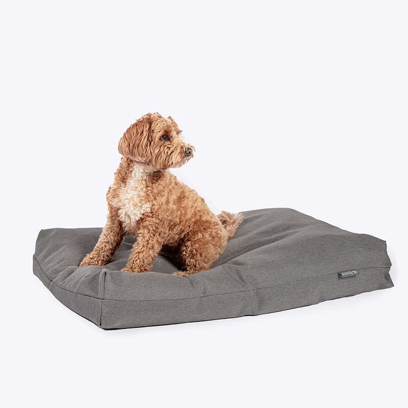 Antibacterial on sale dog beds