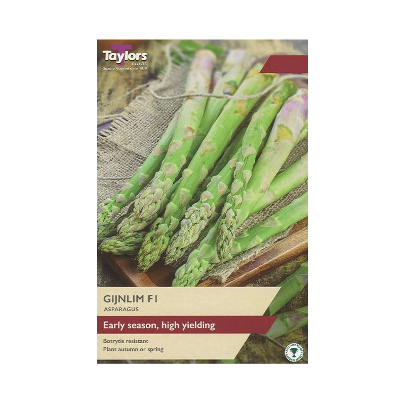 Asparagus 'Gijnlim' F1 Hybrid