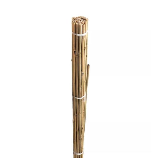 Bamboo Canes 180cm Pack of 10