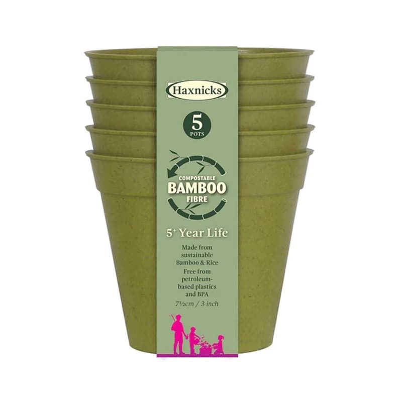 Bamboo Pot 3" Sage Green - Five Pack