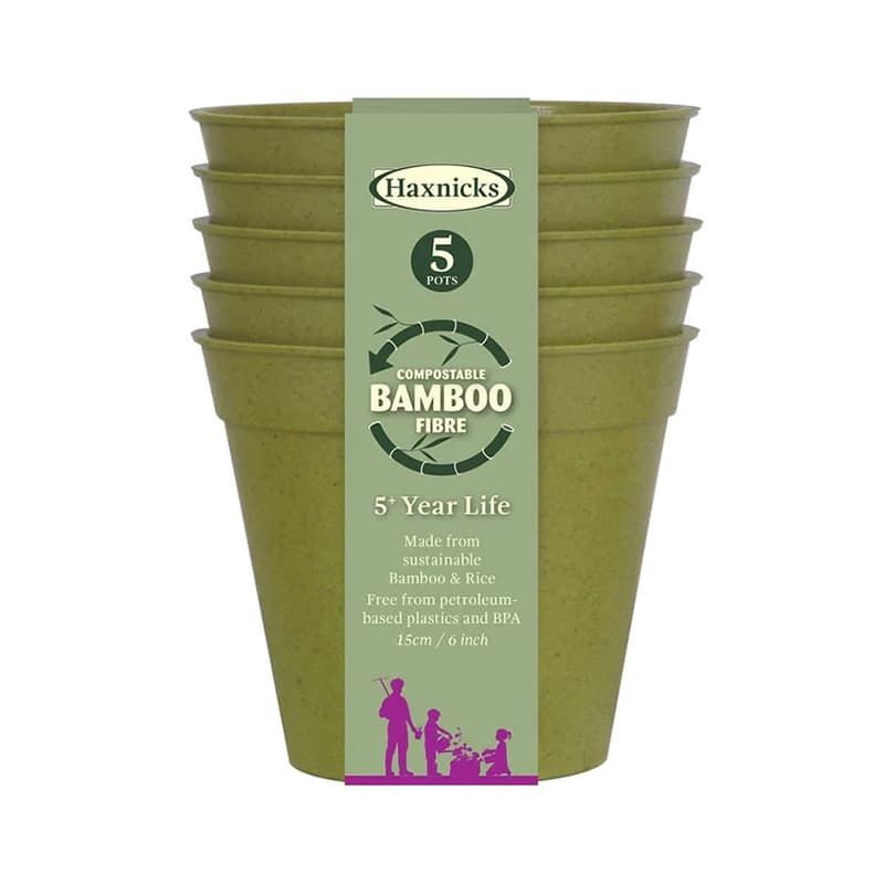 Bamboo Pot 6" Sage Green - Five Pack