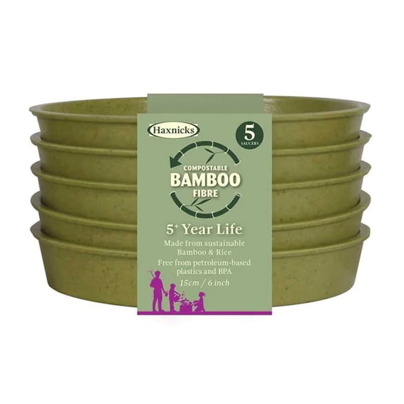 Bamboo Saucer 6" Sage Green Pack of Five