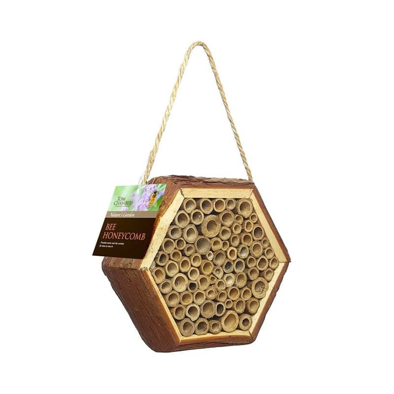 Bee Honeycomb Habitat