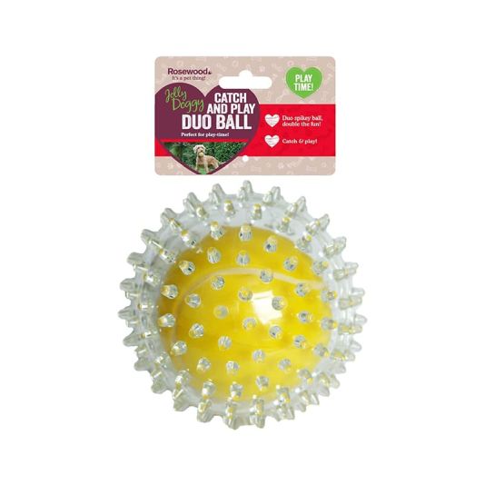 Catch & Play Tennis Ball Dog Toy