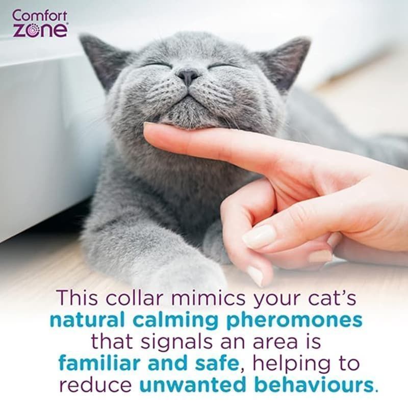 Feline pheromone outlet collar