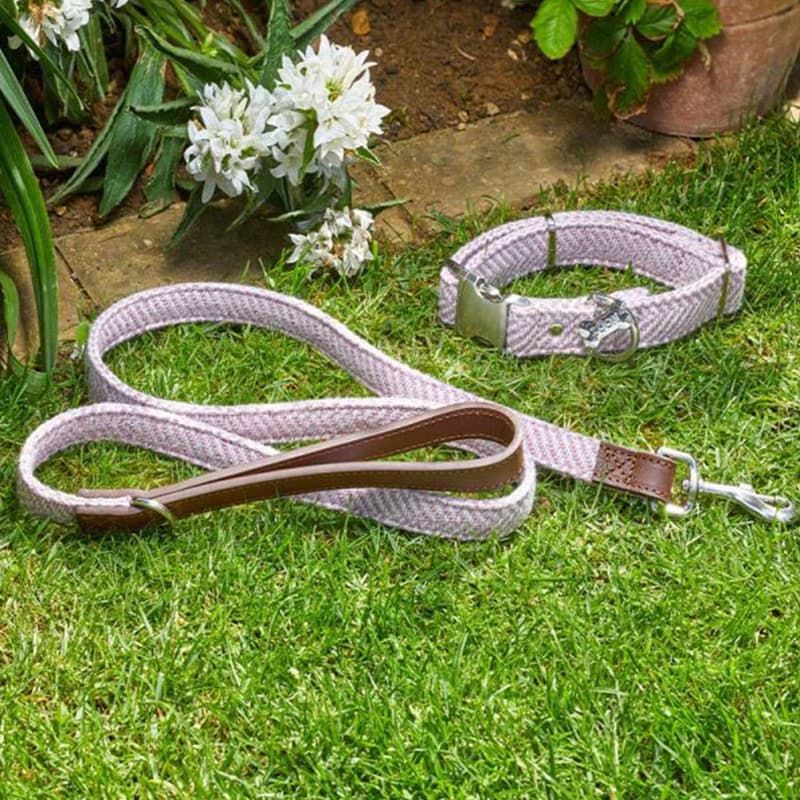 Country Dog Lead Blush - Small