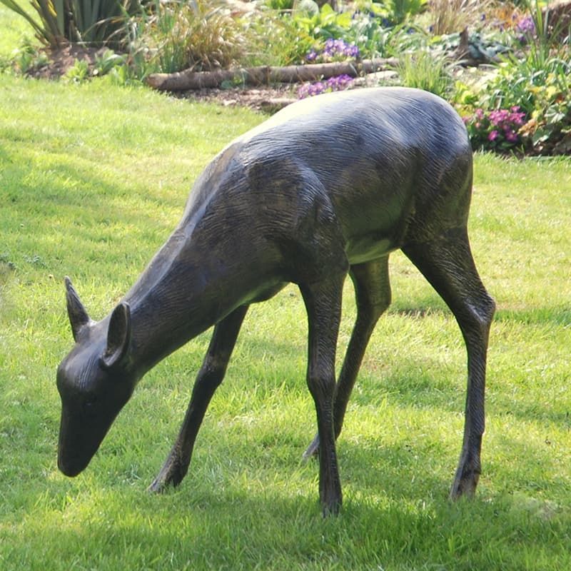 Doe Grazing