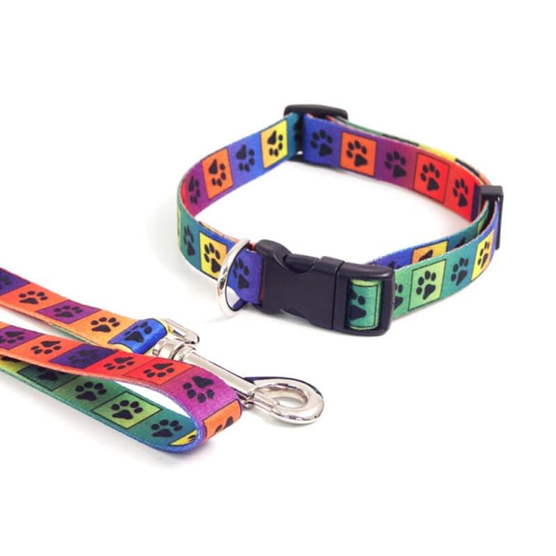 Dog Lead Multicolour Paw 40"