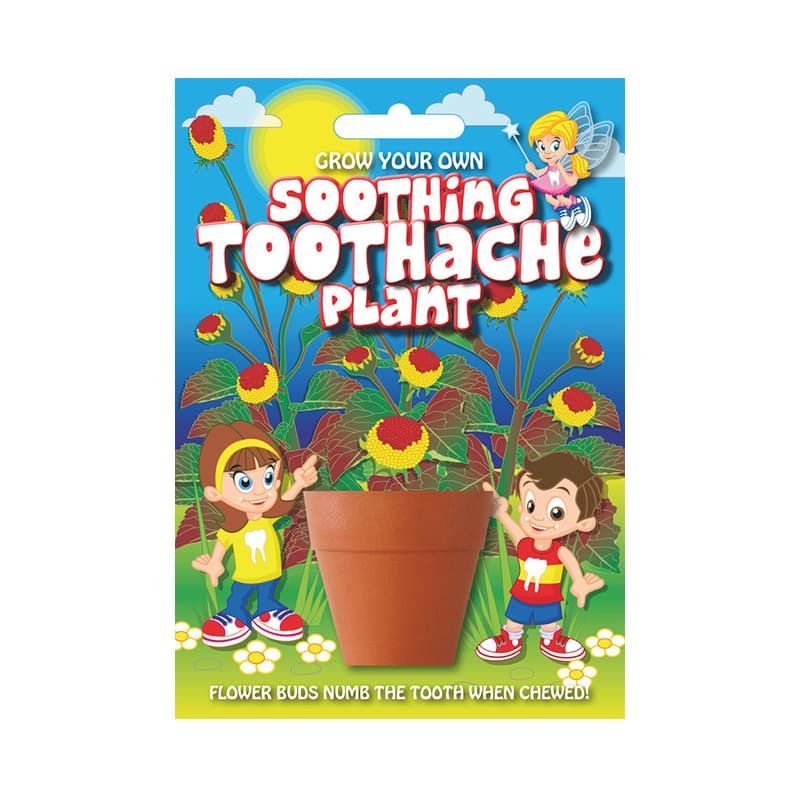 Fun Seed Soothing Toothache Plant