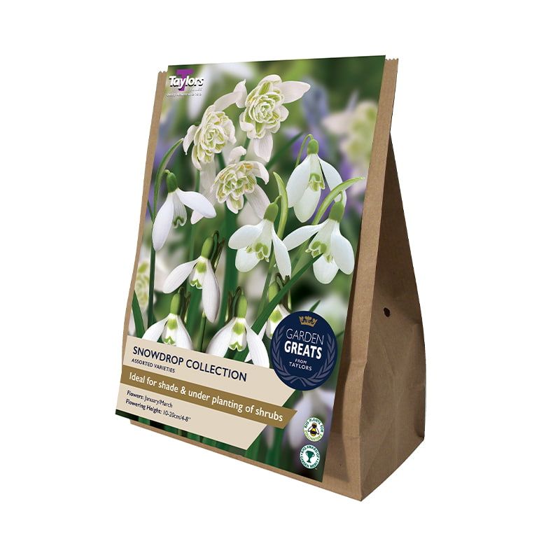 Snowdrop Collection