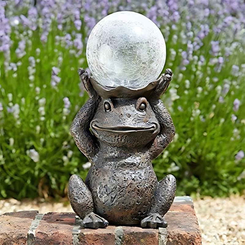 Gazing Frog