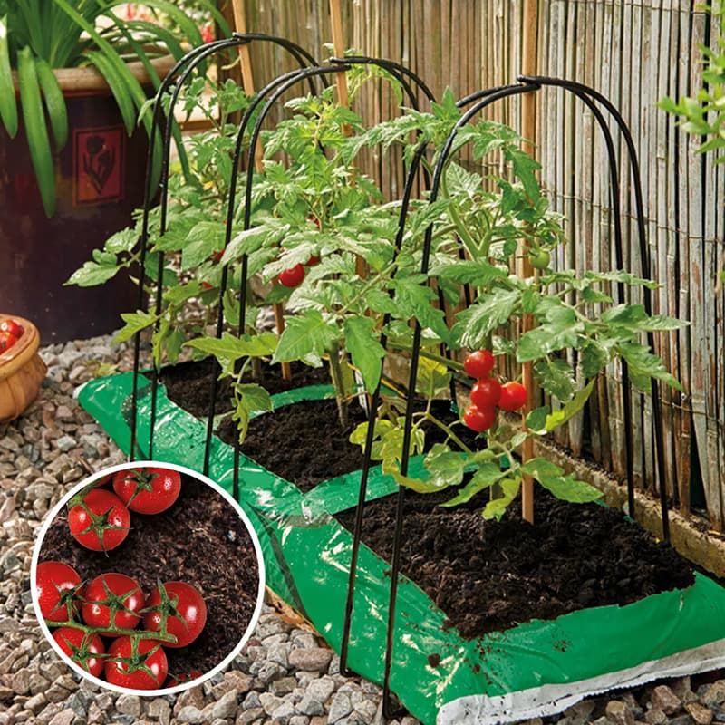 Grow Bag Cane Support Frame - Pack of 3