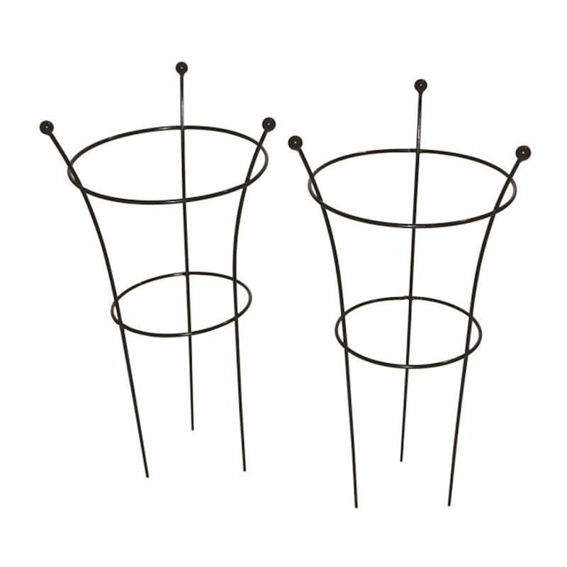 Herbaceous Support Twin Pack - 65cm