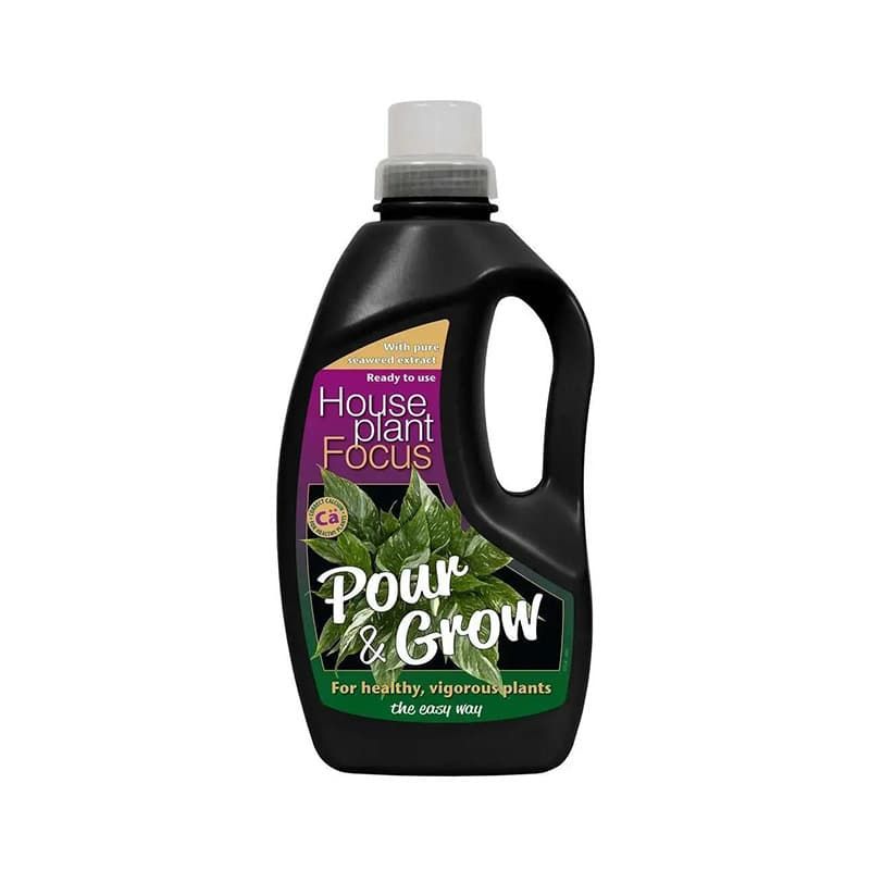 Houseplant Focus Pour & Grow 1 Litre