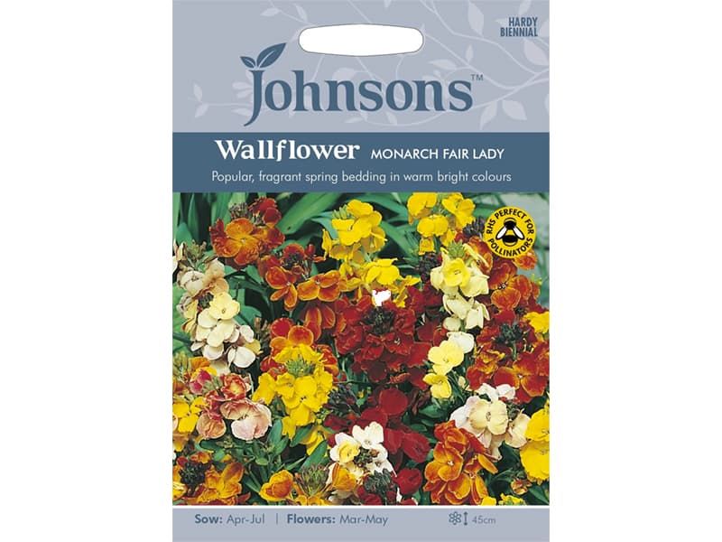 Wallflower 'Monarch Fair Lady' Seeds