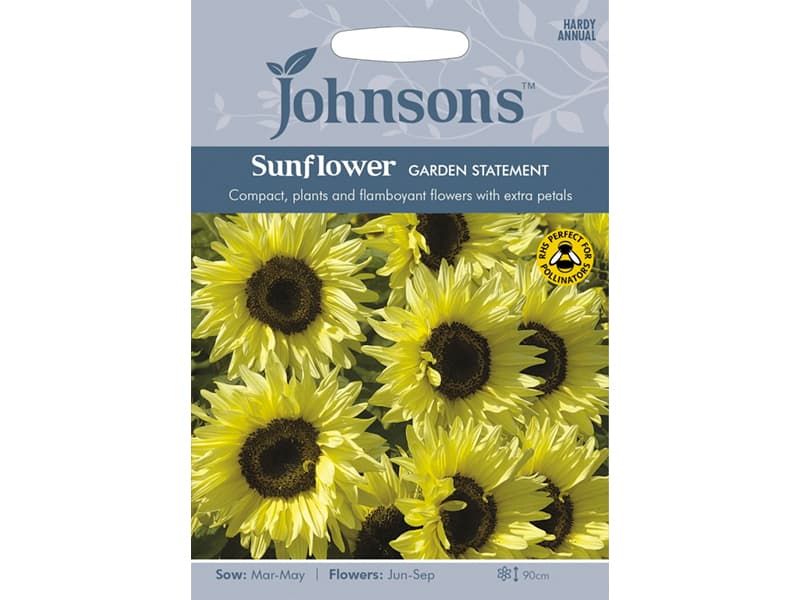 Sunflower 'Garden Statement' Seeds