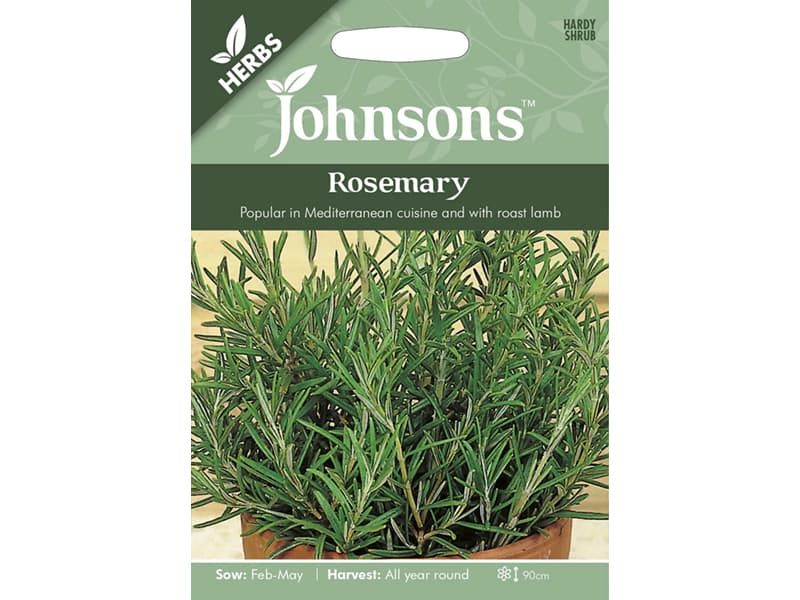 Rosemary Seeds