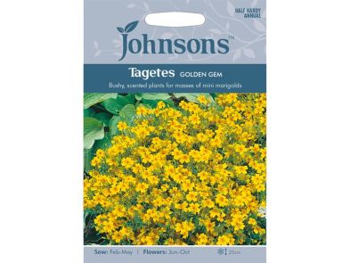 Tagetes 'Golden Gem' Seeds