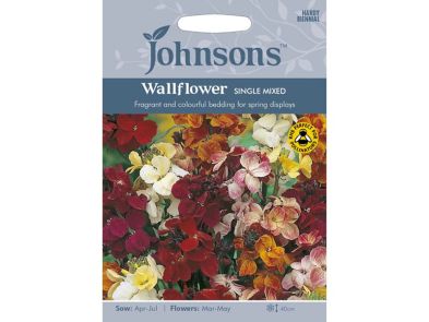 Wallflower 'Single Mixed' Seeds