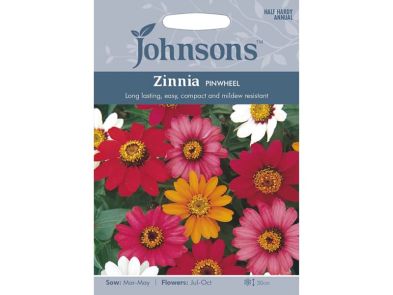 Zinnia 'Pinwheel' Seeds