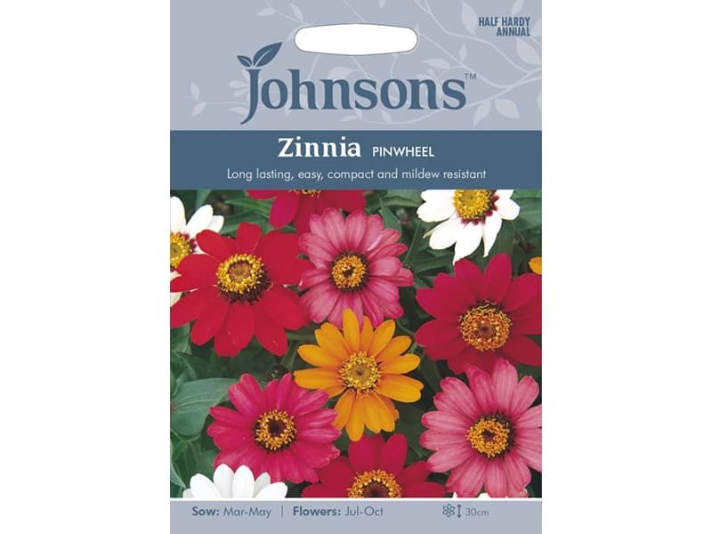 Zinnia 'Pinwheel' Seeds