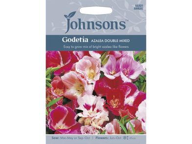 Godetia 'Azalea Double Mixed' Seeds