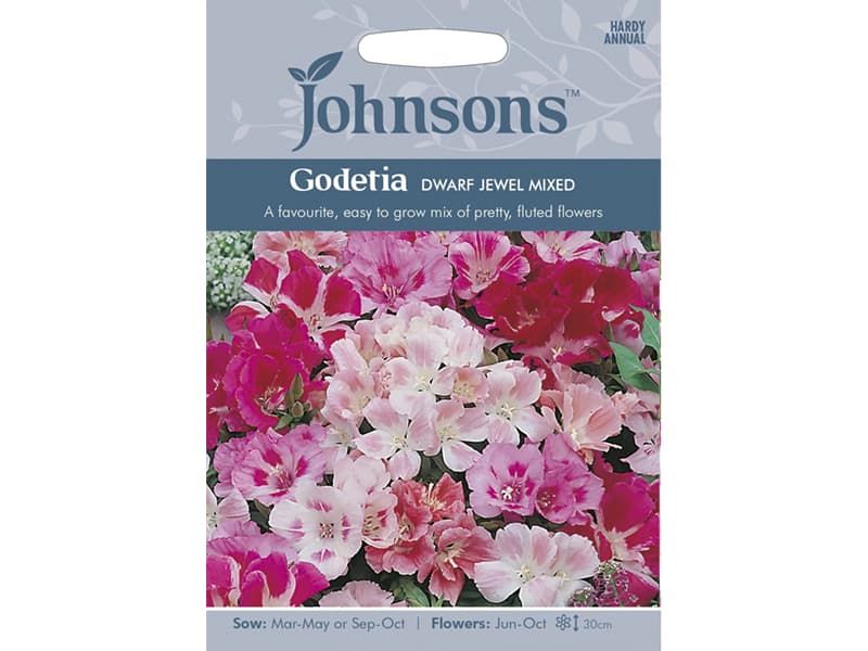 Godetia 'Dwarf Jewel Mixed' Seeds