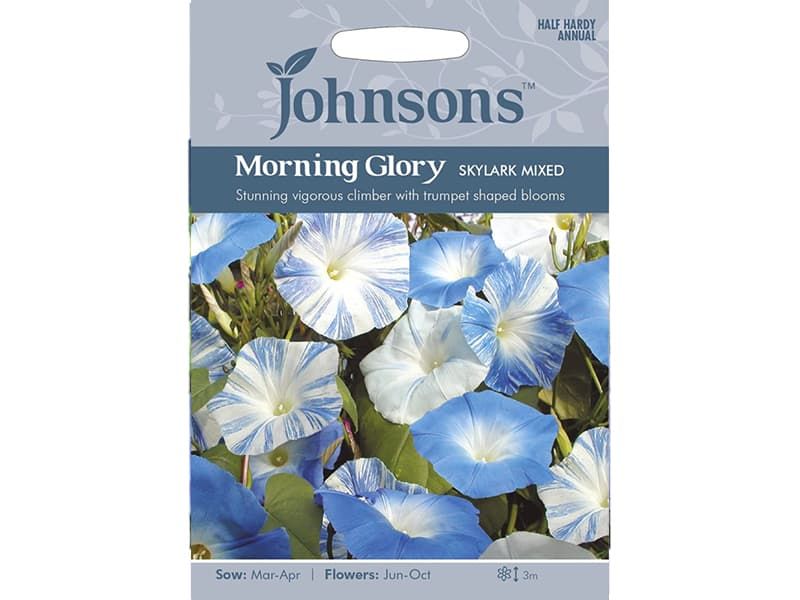 Ipomoea purpurea (Morning Glory) 'Skylark Mixed' Seeds