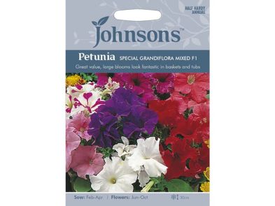 Petunia 'Special Grandiflora Mixed' F1 Seeds