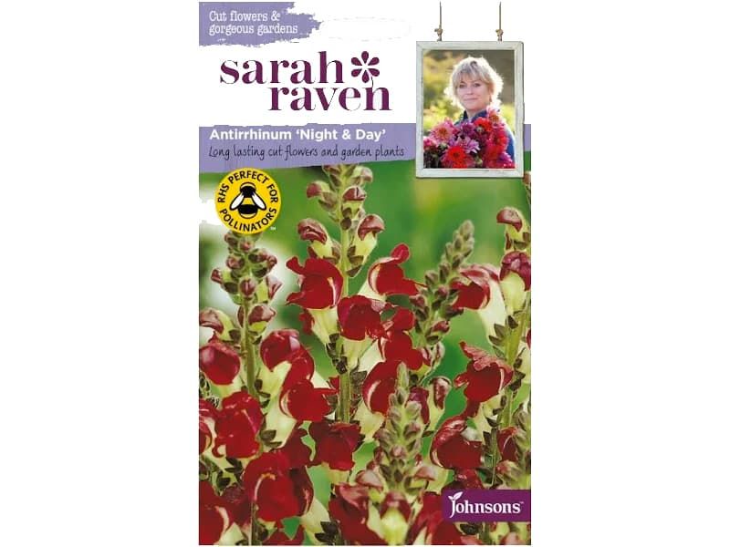 Antirrhinum 'Night & Day' Seeds