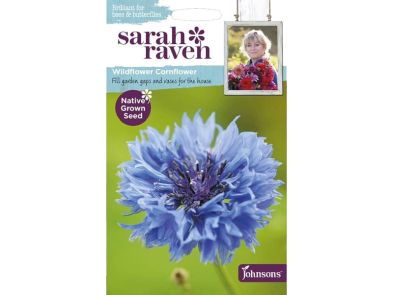 Cornflower Seeds