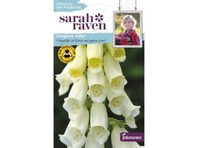 Foxglove 'Alba' Seeds