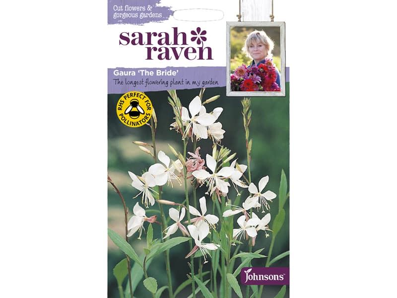 Gaura 'The Bride' Seeds