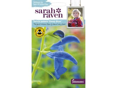 Salvia 'Deep Blue' Seeds