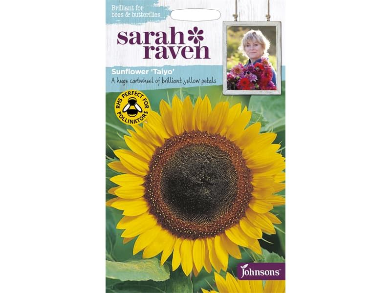 Sunflower 'Taiyo' Seeds