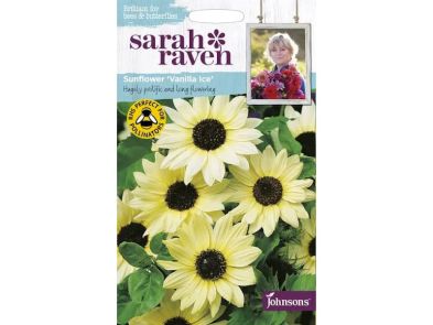 Sunflower 'Vanilla Ice' Seeds